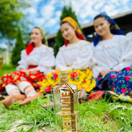 Floare De Maramures 1 Vadu Izei Esterno foto