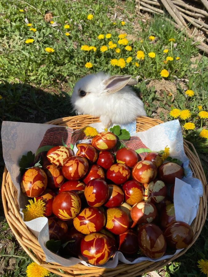 Floare De Maramures 1 Vadu Izei Esterno foto