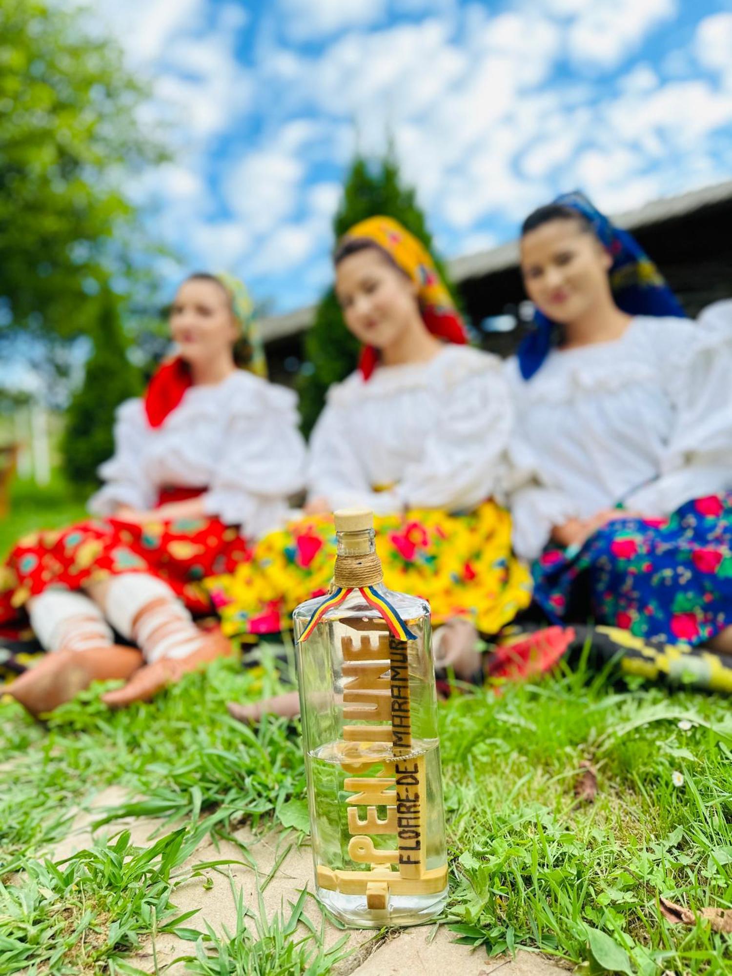 Floare De Maramures 1 Vadu Izei Esterno foto